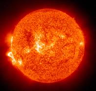 Sole