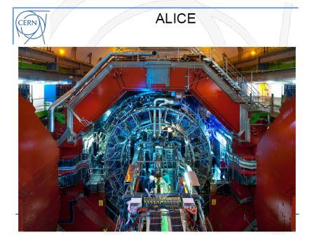 ALICE