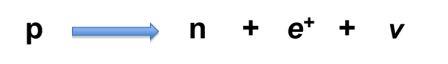 nucleoni