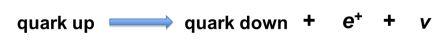 quark