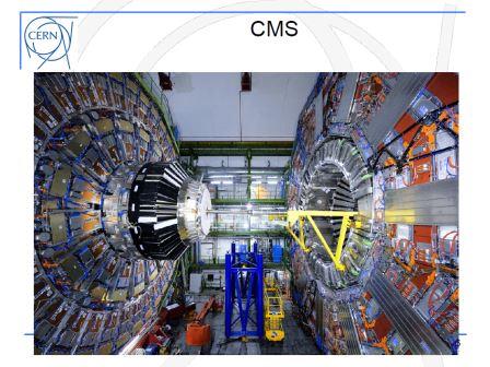 CMS