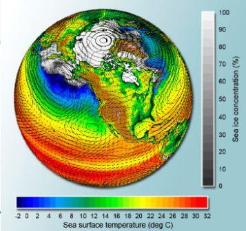 temperature marine