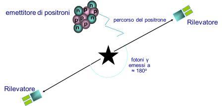 percorso positroni