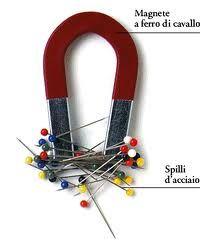 Calamita