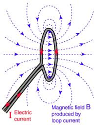 Campo magnetico di una spira