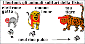 leptoni come felini leptoni come felini